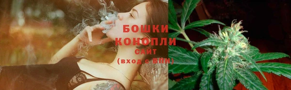 гидропоника Арсеньев